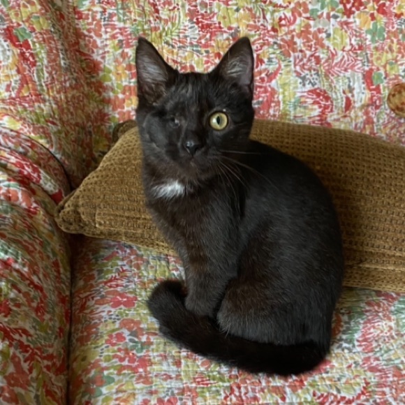 FOLLOW THE JONESES TO 400K! - Picture 11 of 16